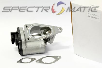 SM 8200850755 - EGR valve